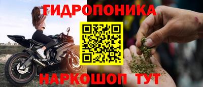 прущие крисы Кулебаки