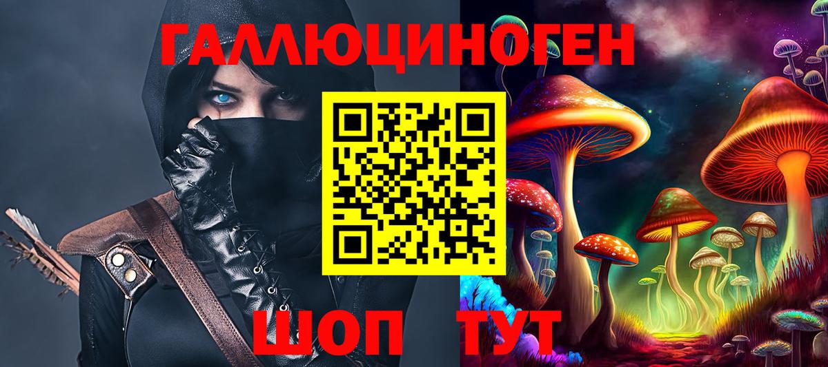 Галлюциногенные грибы Psilocybine cubensis Азов