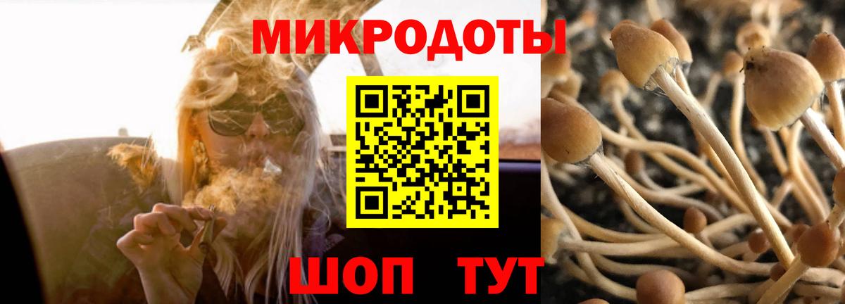Псилоцибиновые грибы ЛСД  купить закладку  Азов  Вход с VPN 